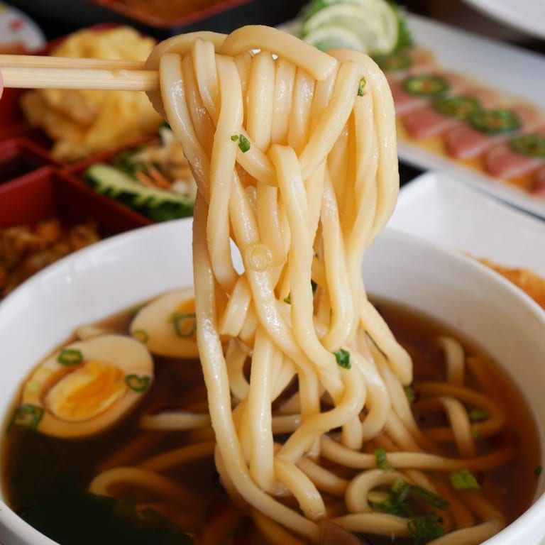 Savor Our Udon Noodles